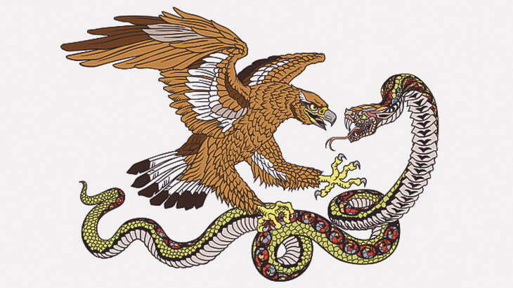 この鳥さん、ヘビの扱いがうまい（動画）