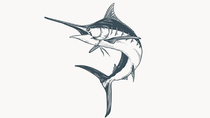 メカジキの赤ちゃん、さらにめちゃくちゃ小さい（画像）