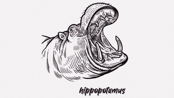 カバに餌あげようとしたら口の中にヒルいた･･･（動画）