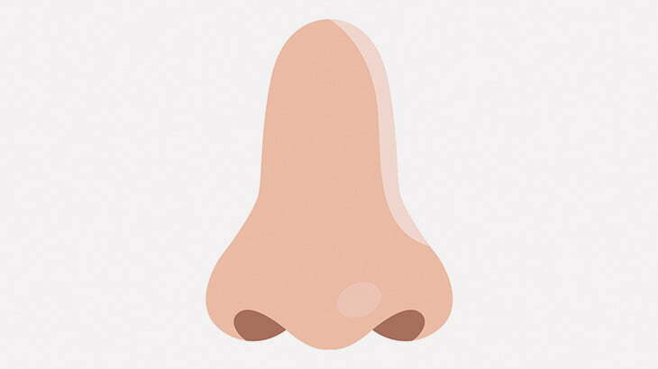 医師「切断された鼻をまずは額に貼り付けて成長させましょうねー」（画像）