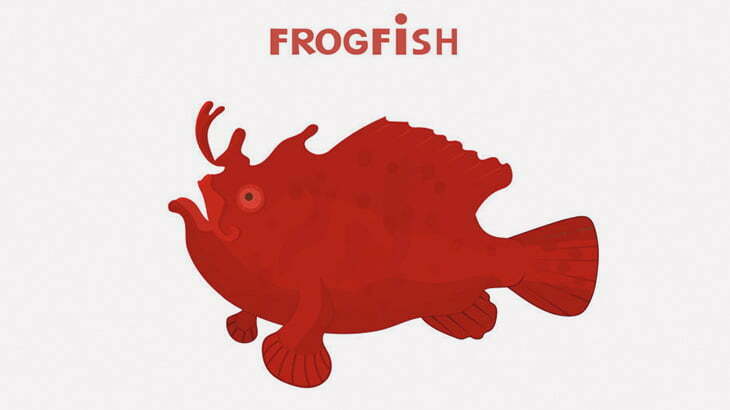 何とも言えない顔で微動だにしないアニメキャラみたいなハナオコゼ（動画）