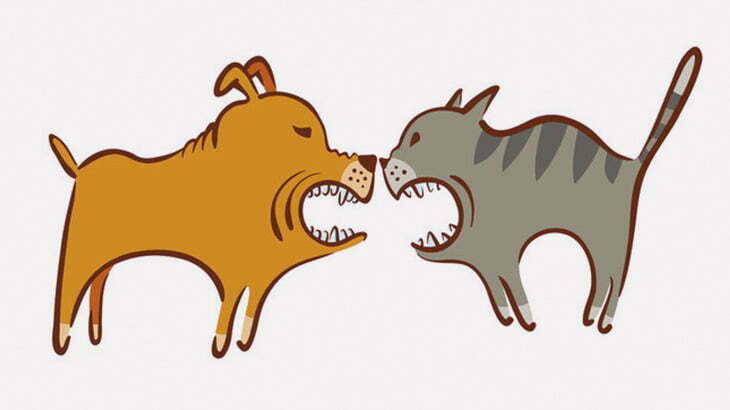 トイプードルに噛みついたコーギー、猫にしばかれる（動画）