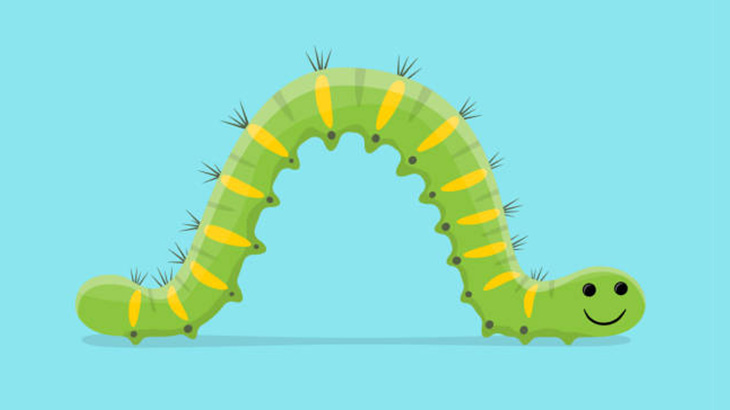 【閲覧注意】毛虫の群れが不思議な儀式してた･･･（動画）