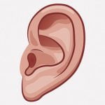 耳を失ってしまった人のための取外し可能な義耳（動画）