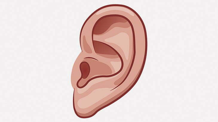 耳を失ってしまった人のための取外し可能な義耳（動画）
