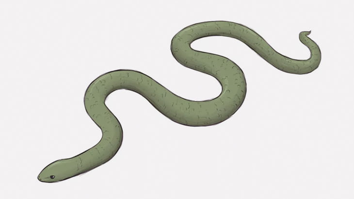 車に轢かれたヘビ、苦しみもがく（動画）