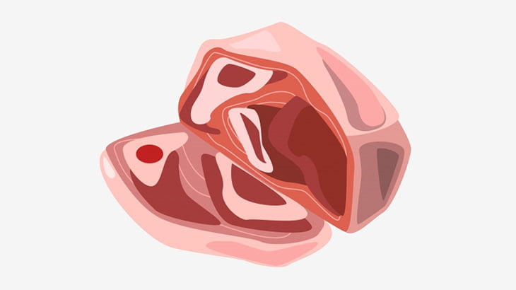 【閲覧注意】道路に肉の塊が転がってた･･･（動画）