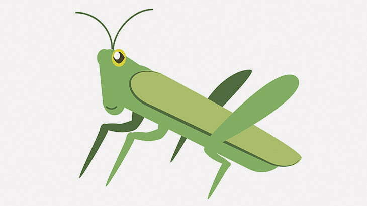 クソデカい虫みつけた（動画）