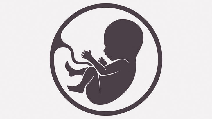 【閲覧注意】77歳の女性の体内から「石化した胎児」が発見される（画像）