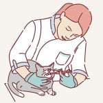 獣医師が猫に薬を飲ませる方法（動画）