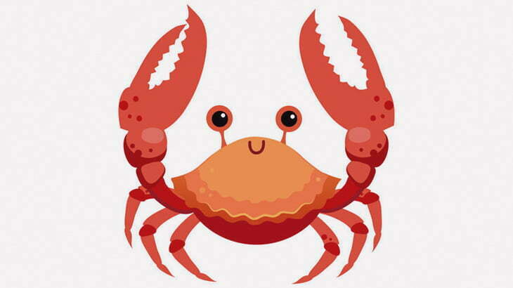 高層階からシャツ落としちゃったからカニに拾わせてみた（動画）