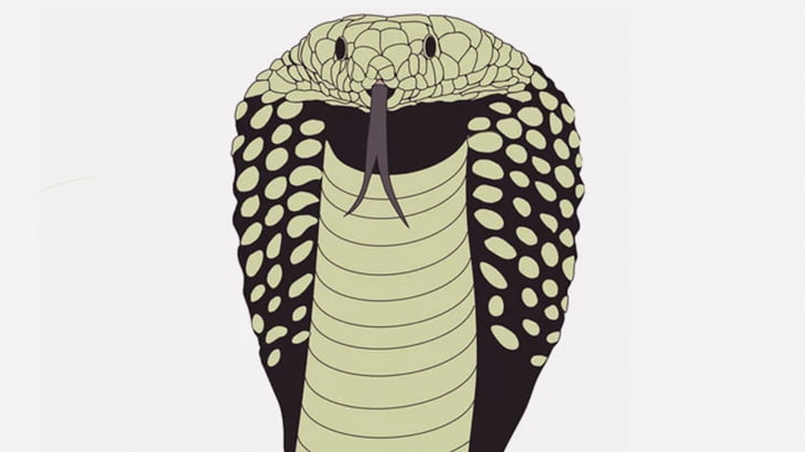 男「キングコブラ切断してやった！」 → 噛まれて死亡（動画）