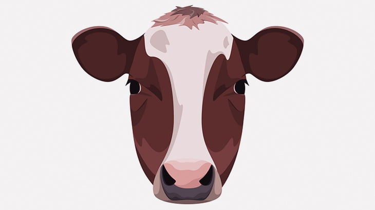 【閲覧注意】村人「牛の頭はこうやって調理するんですよ」（動画）