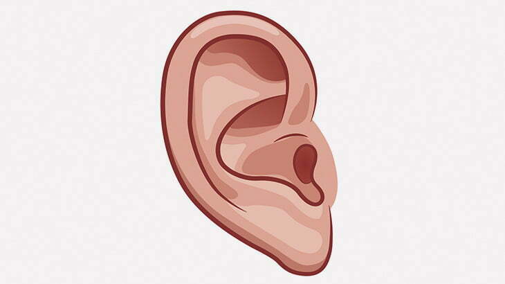 【閲覧注意】耳の穴にコイツが入り込んでた･･･（動画）