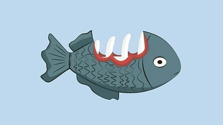 この魚、体かじられてるのに泳いでる･･･（動画）