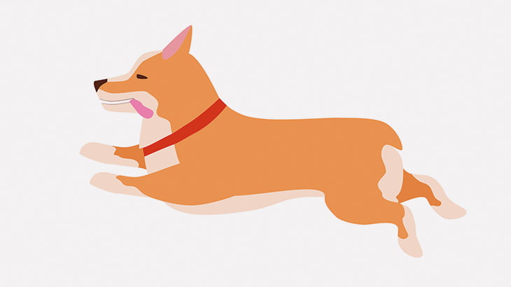 ワンコさん、飛び降り自殺してしまう（動画）