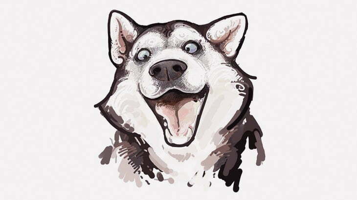 犬「何食べてるんです？」 → ニオイを嗅いで悶絶（動画）