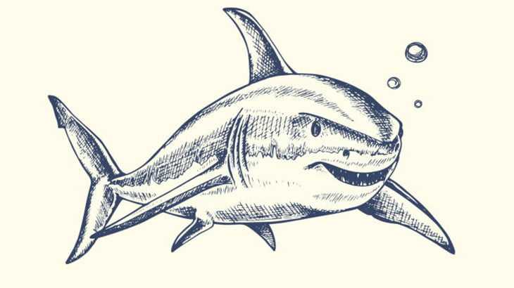 【閲覧注意】仕留めたサメの腹を切り開いてみた結果･･･（画像）