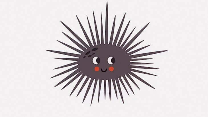 ウニ漁師に近づくお魚さん「くださいな」（動画）