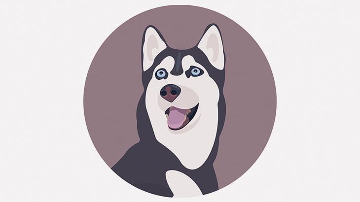 ハスキー犬を飼いたいならコレを見てから決めてね（動画）