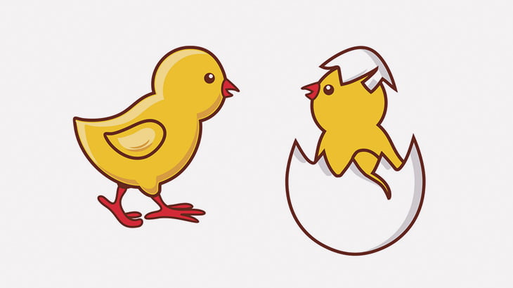 4本足のヒヨコが産まれました（画像）