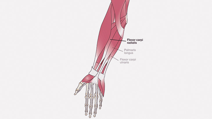 【閲覧注意】医師「腕の腱に電流を流すとピクッと動くんすよ」（動画）