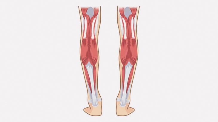 男「俺のふくらはぎ、全然無いんだよね」（動画）