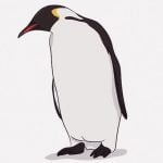 ペンギンたちが歩く様子を5倍速で再生してみた（動画）