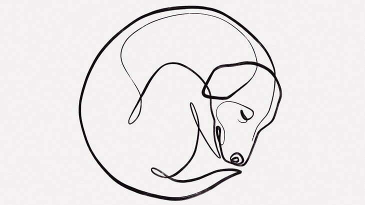 寝ていた飼い犬さん、ヒョウに連れ去られてしまう（動画）