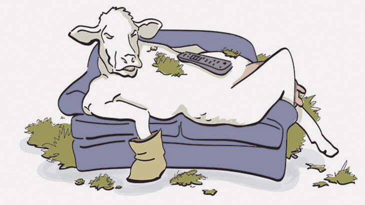 このソファ、どうですか？（画像）