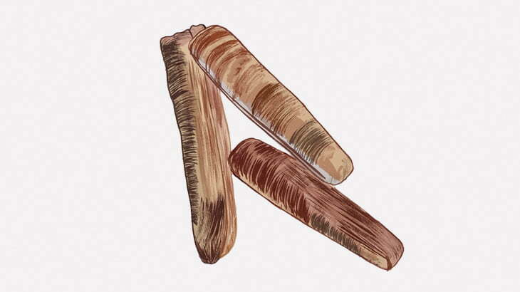 塩を振りかけられただけで簡単に捕まってしまうマテ貝さん（動画）