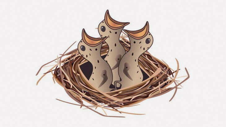 【閲覧注意】親鳥「ミミズいっぱい取ってきたわよ」（動画）