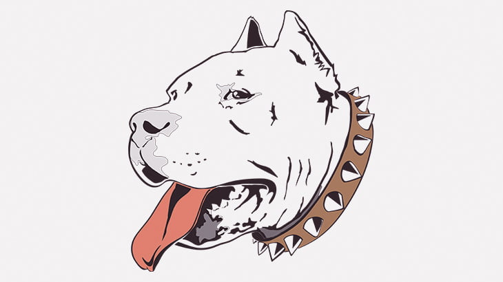 【閲覧注意】ピットブルさん、7歳の男の子をズタズタにしてしまう･･･（動画）