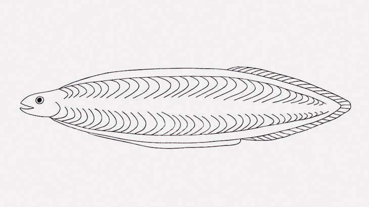 なんか変な生き物を釣り上げてしまった･･･（動画）