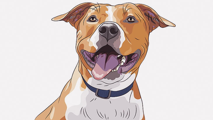 ピットブル「小さい犬いるやん！」 → 噛みついて離さない