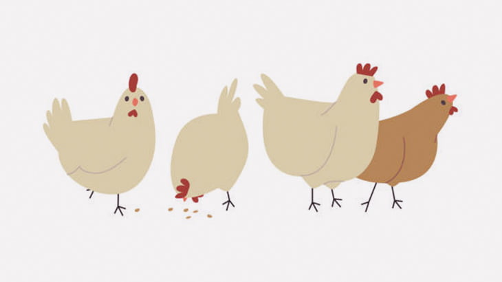 動物愛護団体「養鶏場でデモするぞ！」 → 大変なことに･･･（動画）