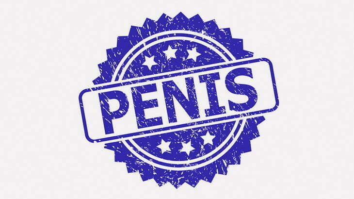 めっちゃペニスみたいなヘビ見つけた（動画）