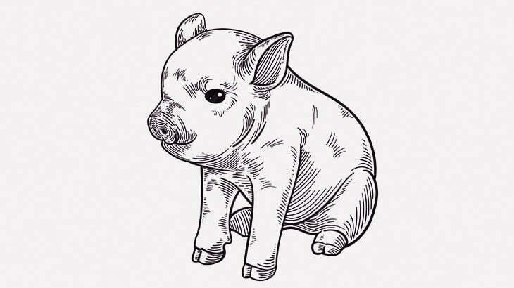 【閲覧注意】人間のおじいちゃんみたいな豚うまれた･･･（動画）