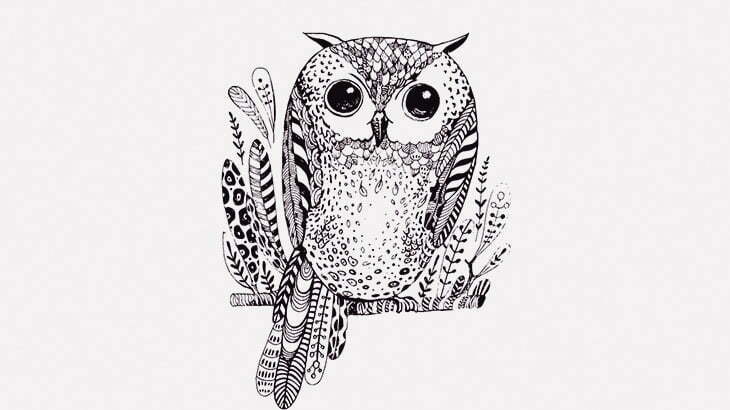 窓の外からフクロウがめっちゃ見てくる（動画）