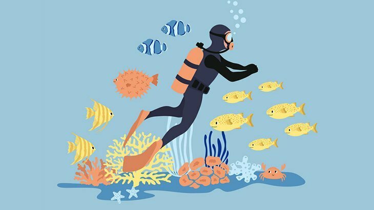 魚のコブダイと30年以上の友情を育む日本人ダイバー（動画）