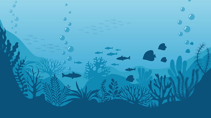 深海7000mで新たな生物が発見される（動画）