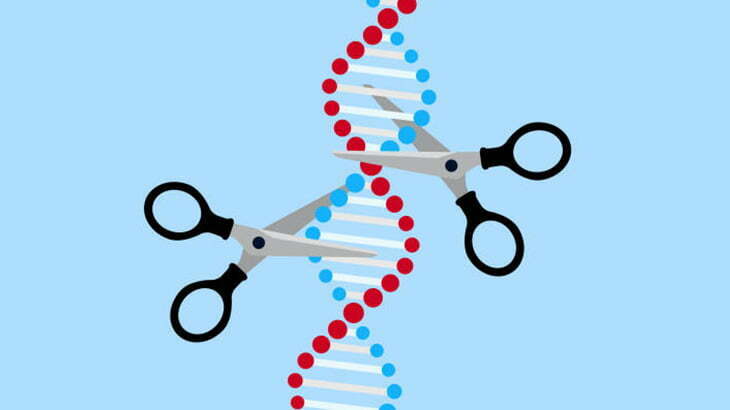 【閲覧注意】この女の子の頭の形、おかしい･･･（動画）