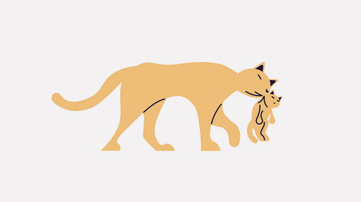 【閲覧注意】この猫、死んだ子猫を口に咥えてる･･･（動画）