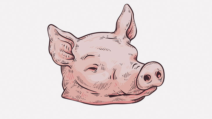 【閲覧注意】男「豚の頭はこうやって調理するんすよ」（動画）