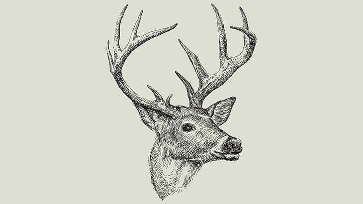 【閲覧注意】ハンターさん、ヤバいシカを仕留めてしまう･･･（画像）