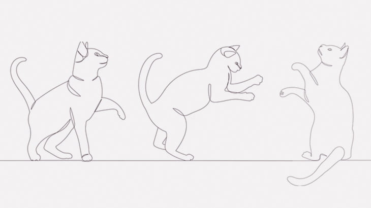 右の前足を失った猫さん、「猫パンチ」の癖が抜けない（動画）