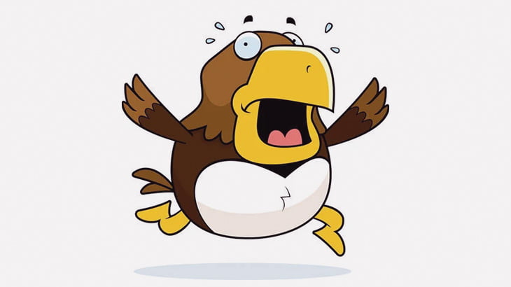【閲覧注意】パイロット「鳥が突っ込んできてめちゃくちゃ負傷したんだけど･･･」（動画）