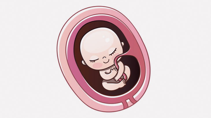 【閲覧注意】妊娠9週目で流産した胎児（画像）