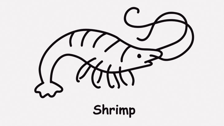 生きているエビさん、鍋に入れられて一瞬で茹で上がる（動画）