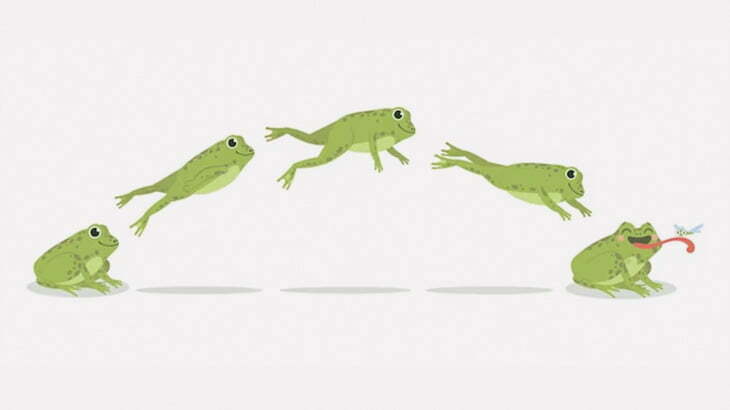 ジャンプしてトンボを食べようとしたカエルさん、失敗（動画）